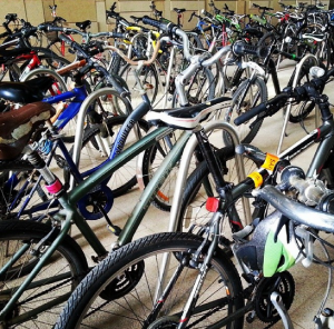 bikes at KAUST